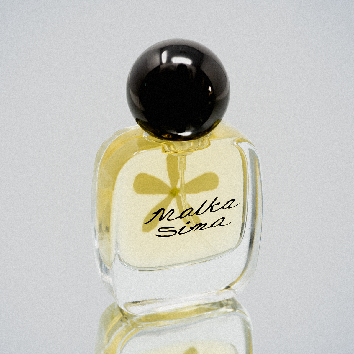 Jasmine