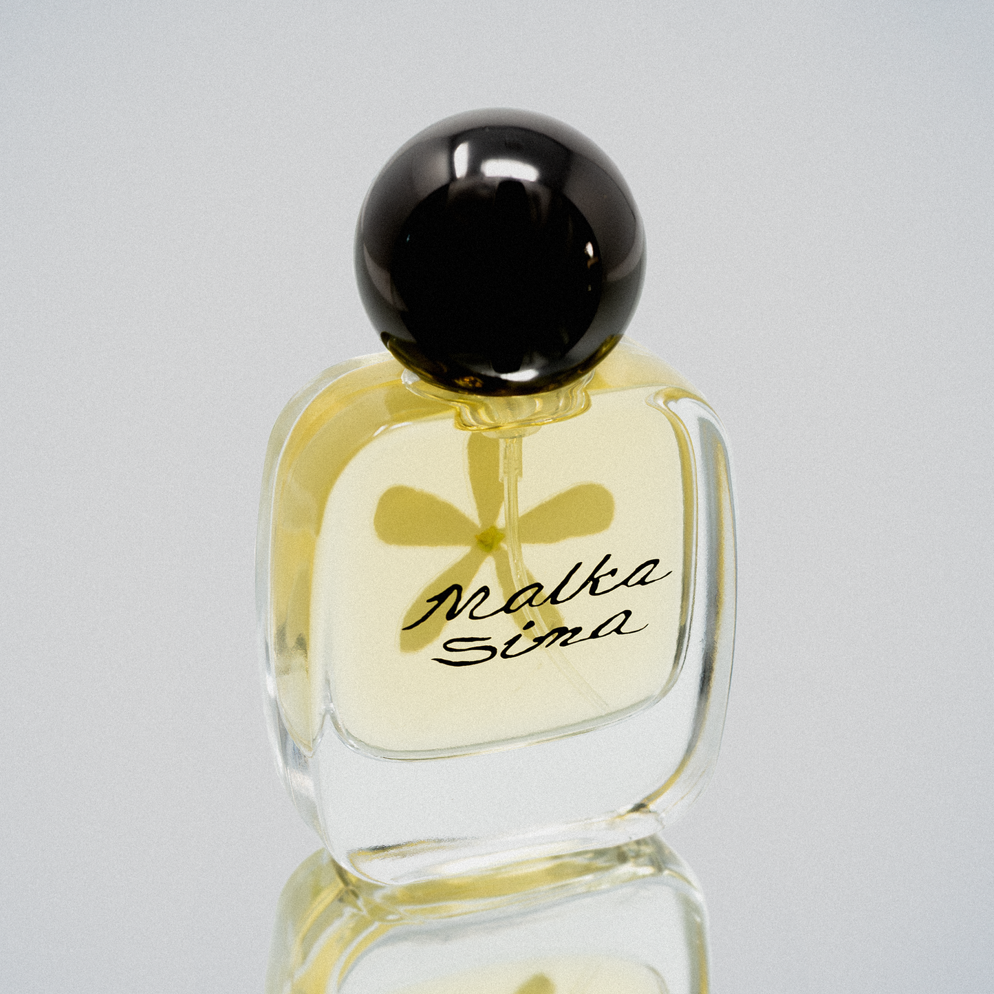 Jasmine